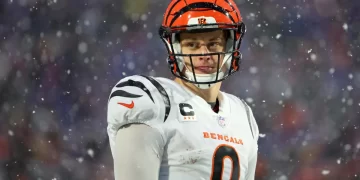 Bengals