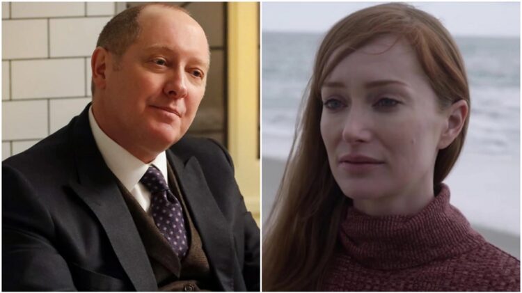 raymond reddington