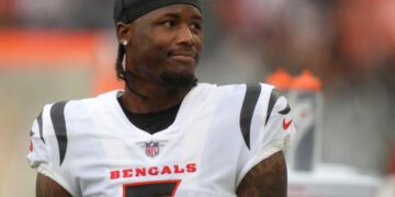Tee Higgins