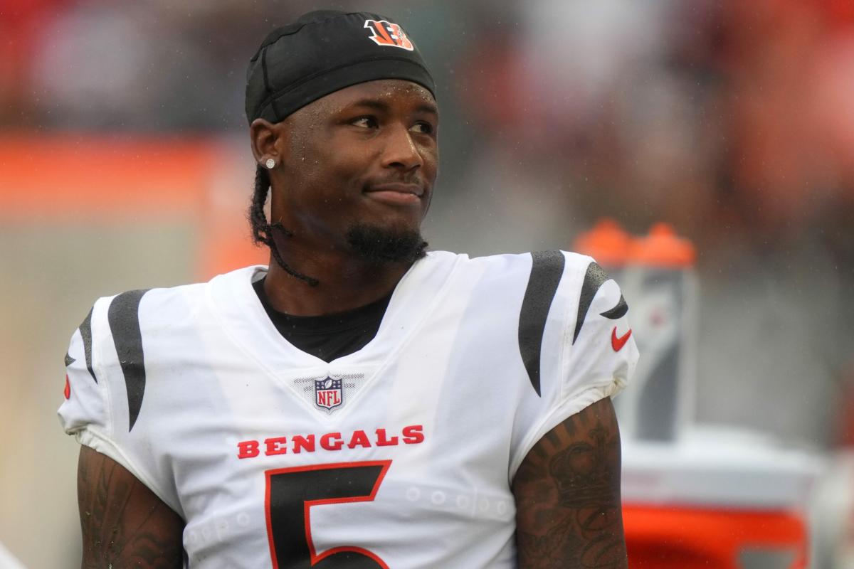 It Sounds Like Tee Higgins Plans on Being With Cincinnati Bengals