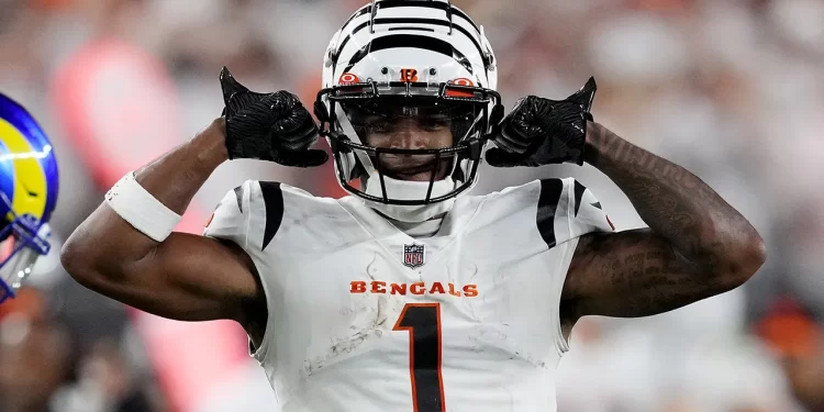 Bengals