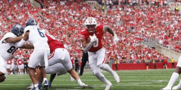 Badgers