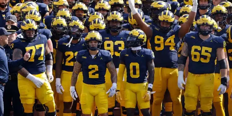 Wolverines