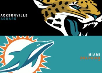 Miami Dolphins