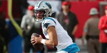 Panthers