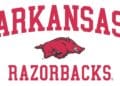 Arkansas Football Highlight: Wide Receiver