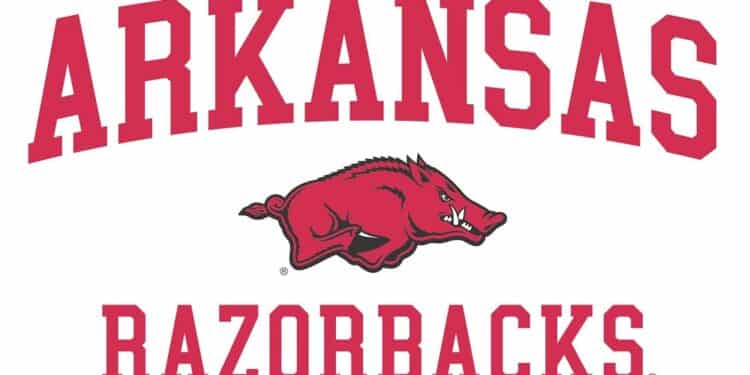 Arkansas Football Highlight: Wide Receiver